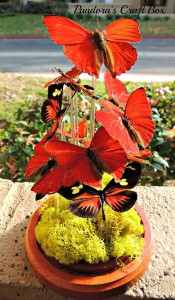 real butterfly, butterflies, glass dome, butterfly art, butterflies art, butterfly collection, butterfly gifts, acrylic tube, moss, moth crystals, Terrarium