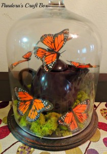 real butterfly, butterflies, glass dome, butterfly art, butterflies art, butterfly collection, butterfly gifts, acrylic tube, moss, moth crystals