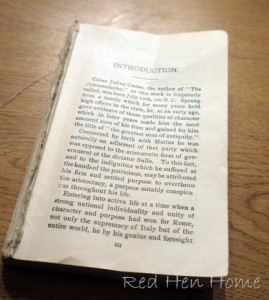 book birdhouses 006