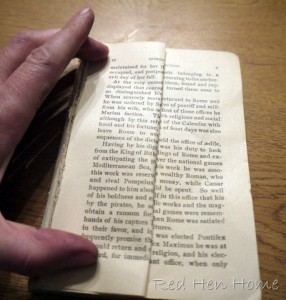 book birdhouses 007