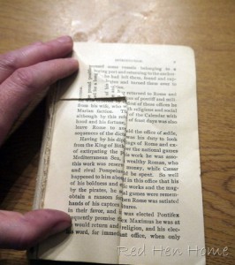 book birdhouses 008