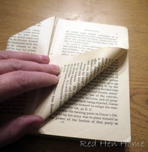 book birdhouses 009
