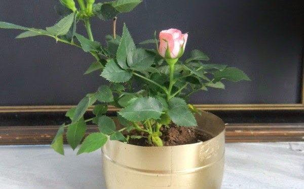 recycled-planters