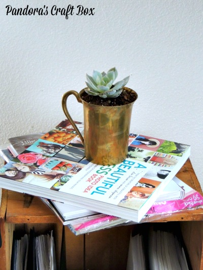 succulent, gold decor, home decor, DIY