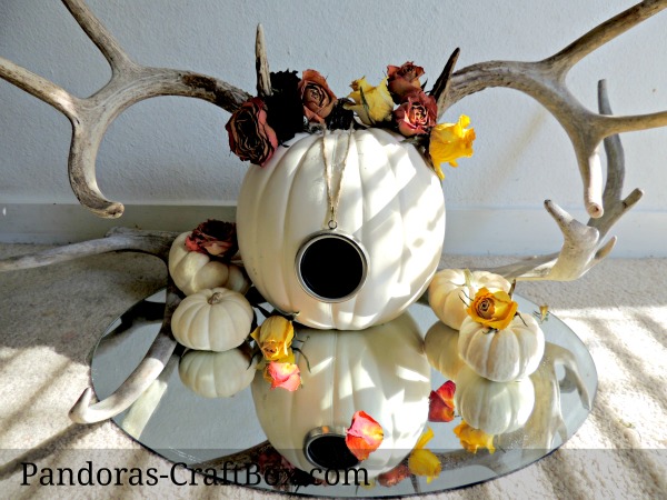 holiday decor, antlers, white pumpkins, diy, thanksgiving decor, dried flower decor, halloween crafts, thanksgiving crafts, decor